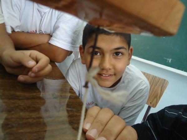 Scientific Discovery