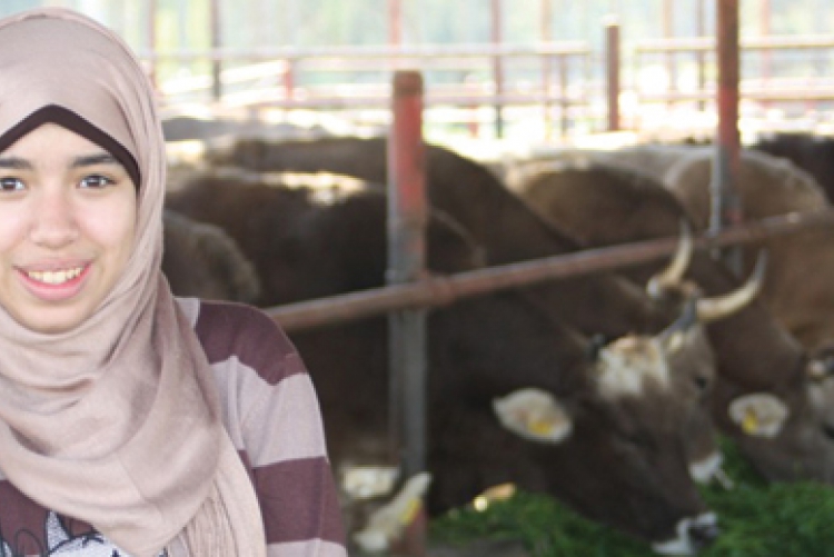 The WISE program expanded participants’ awareness through field trips, such as one to SEKEM farm, known for its commitment to sustainable, organic agriculture and to supporting social and cultural development in Egypt.