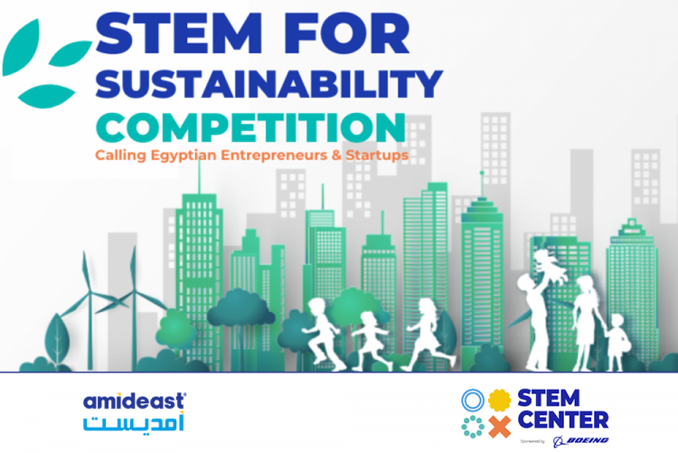 STEM for Sustainability Poster