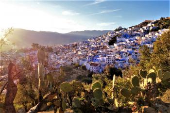The sun shines down on the city of Chefchauen as it rises on the hill opposite the camera. Cacti glow in the sun in the foreground.