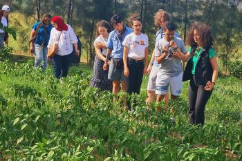 Students walk through a vibrant green vegetable field.