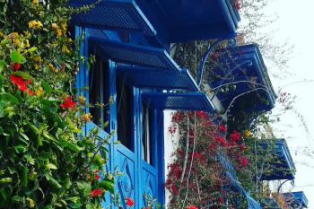 A row of bright blue carved window frames and awnings along the side of a whitewashed building. Between the windows grow vining plants with red flowers.