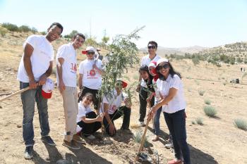YES students plant an olive tree