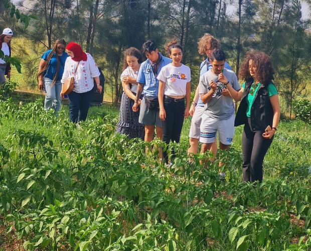 Students walk through a vibrant green vegetable field.