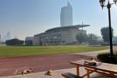 Three cats sun themselves on the side of the track at AUD. There are skyscrapers rising above the athletics building on the far side of the field.