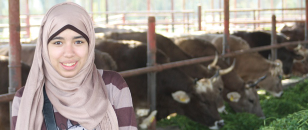 The WISE program expanded participants’ awareness through field trips, such as one to SEKEM farm, known for its commitment to sustainable, organic agriculture and to supporting social and cultural development in Egypt.