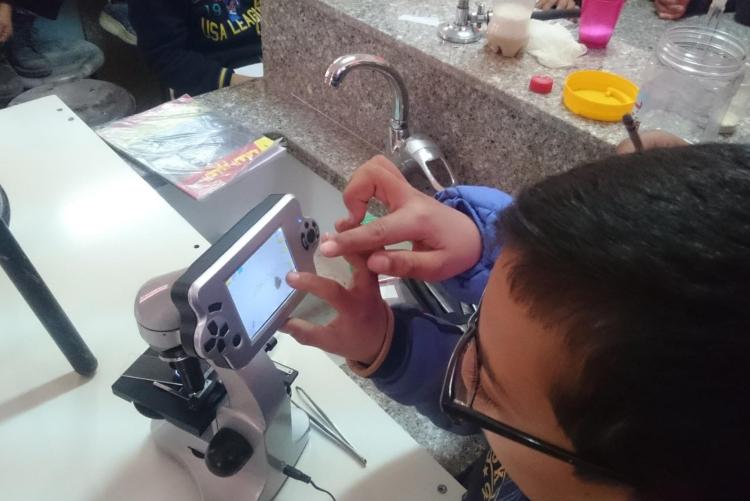 Boy looking into microscope