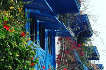 A row of bright blue carved window frames and awnings along the side of a whitewashed building. Between the windows grow vining plants with red flowers.