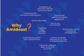 Why Amideast?